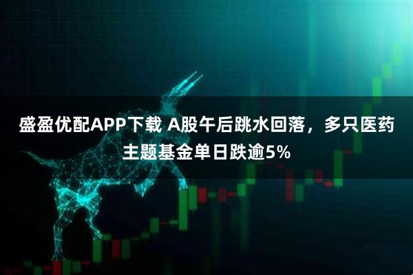 盛盈優配APP下載 A股午后跳水回落，多只醫藥主題基金單日跌逾5%